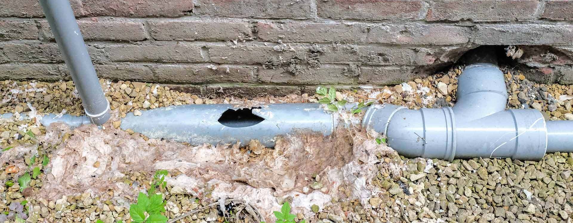 Broken Drain