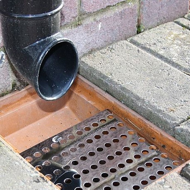 Drain Guard